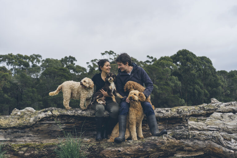photograph of couple with seven dogs
