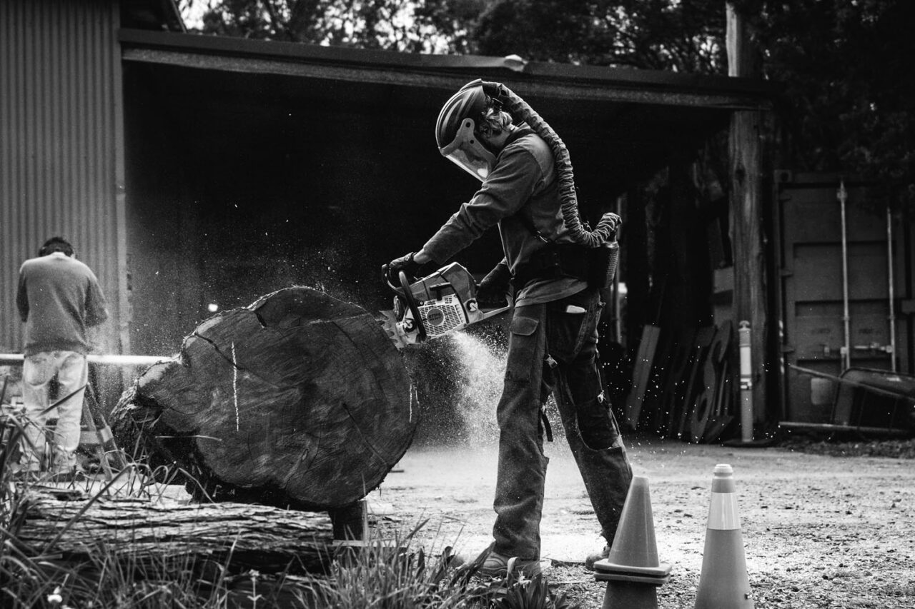 Black and white image of Mark Trinham using a chainsaw to carve a large tree trunk outside his Ashmore Arts studio on the Surf Coast, sawdust flying with another figure visible in the background
