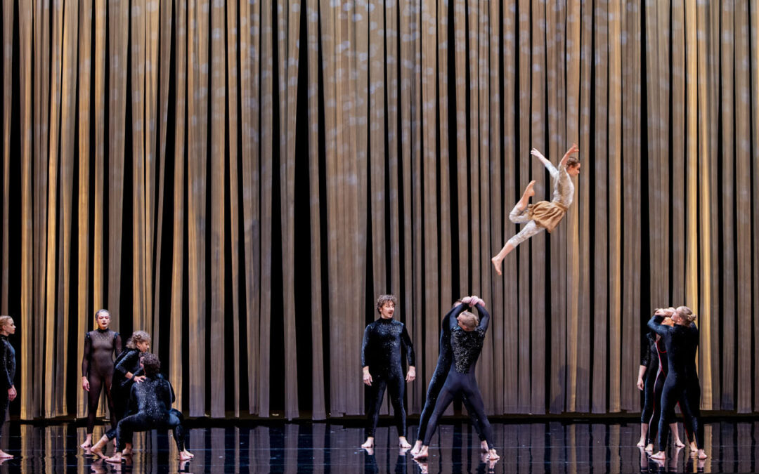 Circa’s Duck Pond, The Round