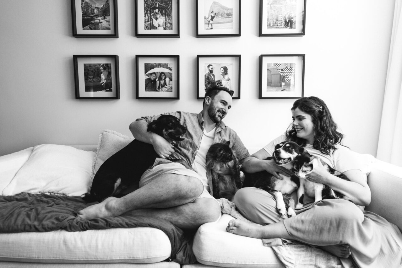 Couple relaxing on their couch surrounded by their dogs during a candid summer storytelling photo session Surf Coast
