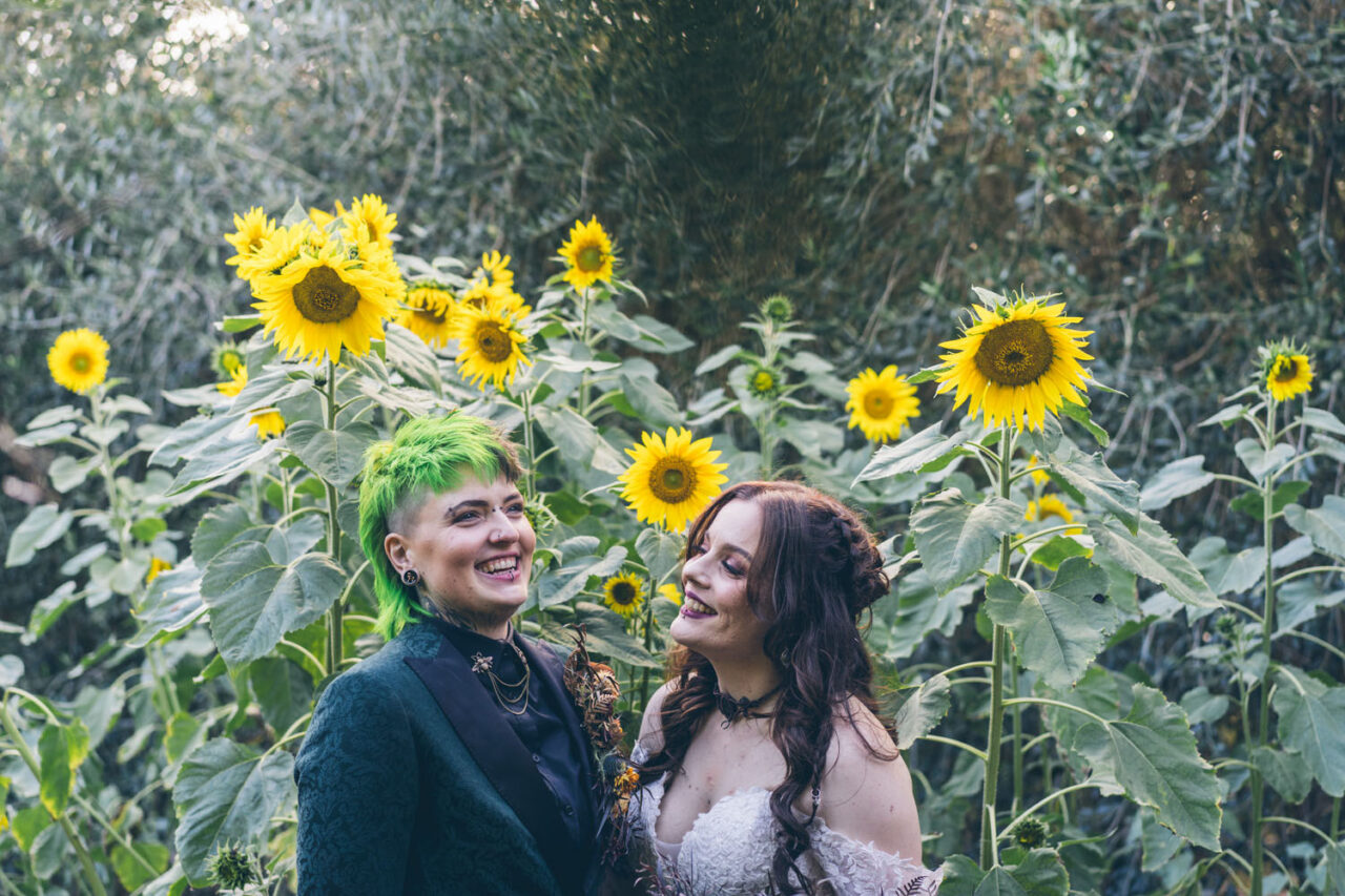 Couple standing among tall sunflowers during their wedding portraits at Alowyn Gardens in the Yarra Valley.