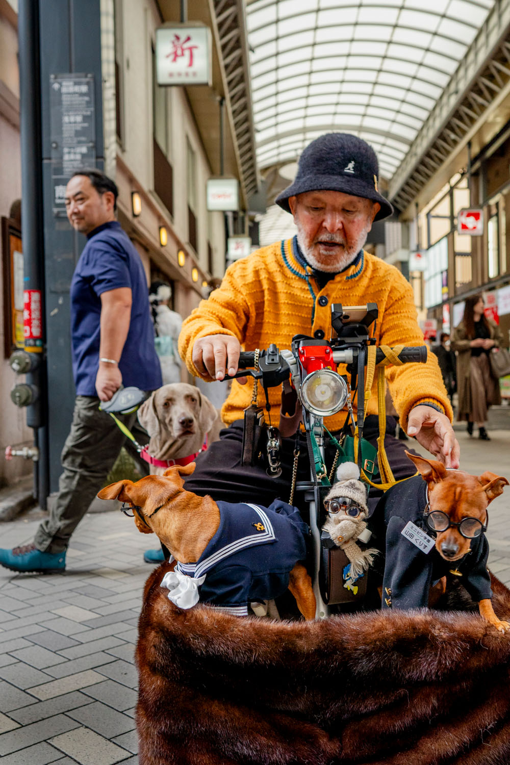 Elderly man riding a mobility scooter with three small dogs dressed in outfits on a covered street in Asakusa, Tokyo