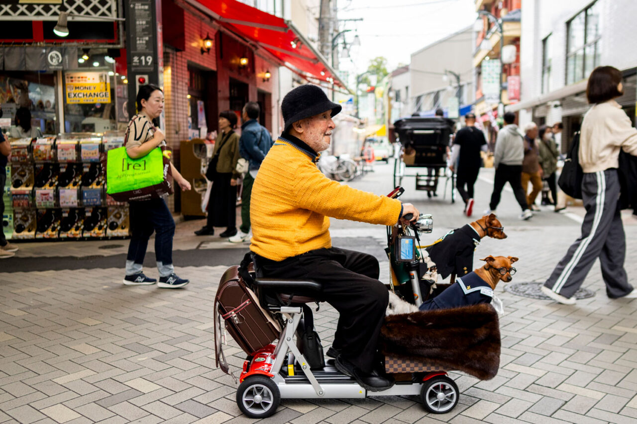 Elderly man riding a mobility scooter with two small dogs on a Tokyo side street in Asakusa