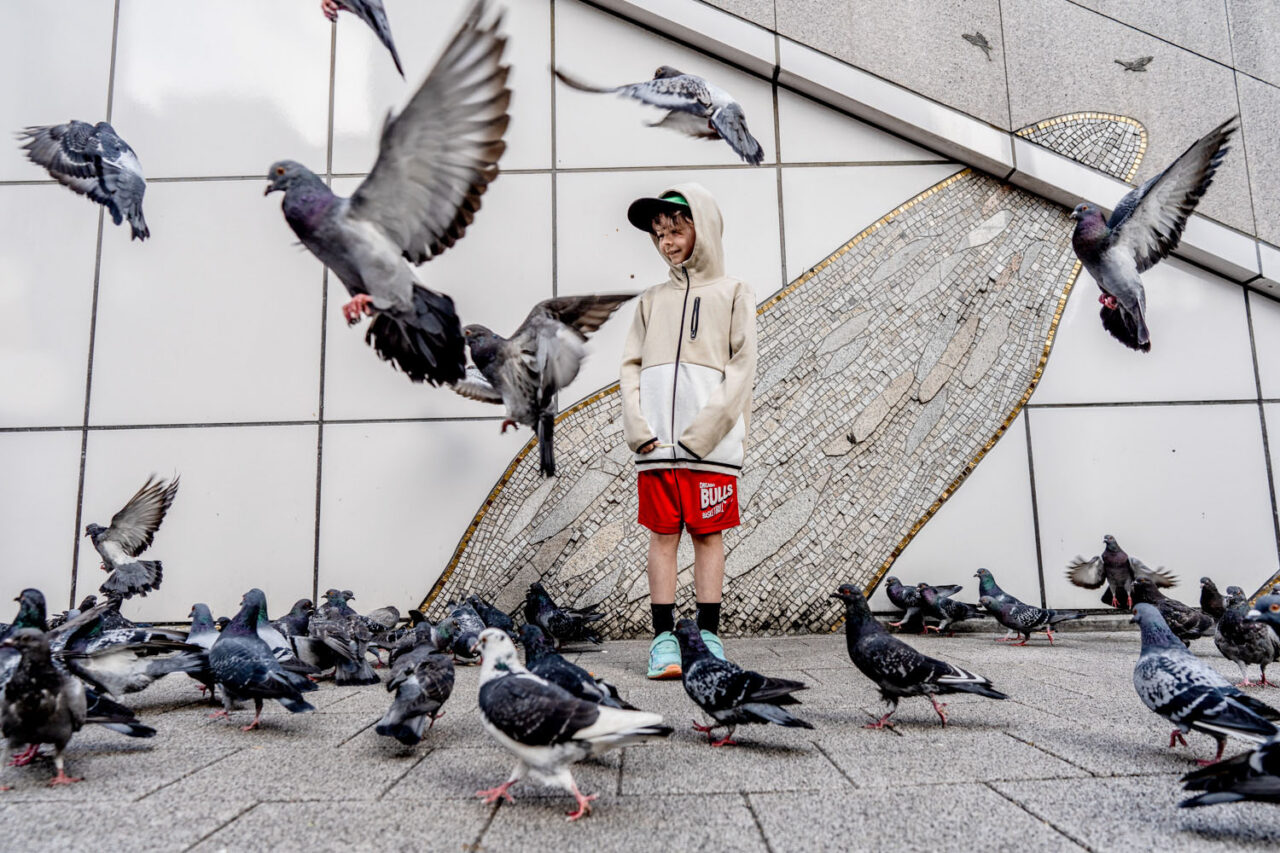 Young boy standing surrounded by pigeons taking flight in a Japanese city square, documentary travel photograph