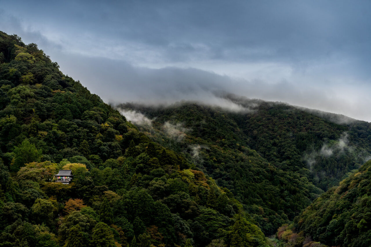 A small Japanese temple building nestled among dense green forest on a steep hillside in Kyoto