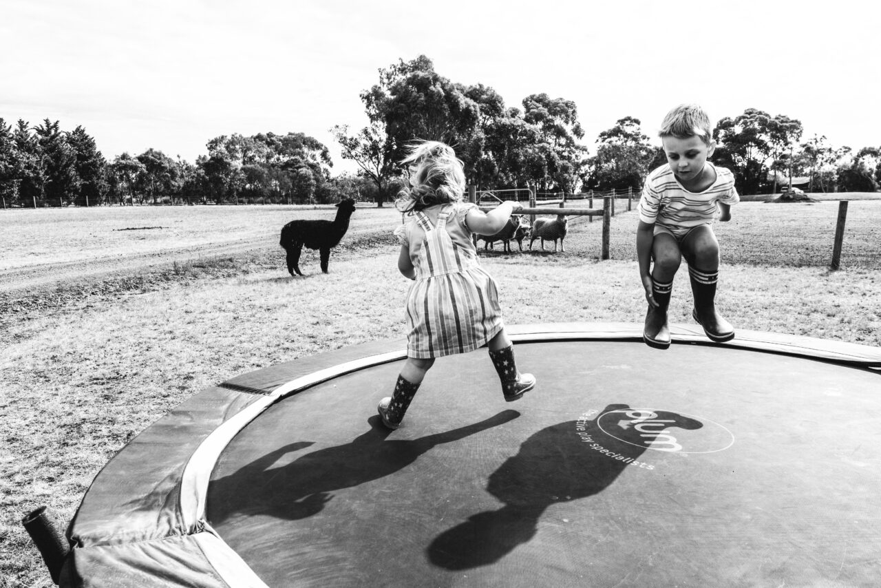 Black and white documentary photograph of two young children jumping on a trampoline on a rural property, with an alpaca and sheep visible in the paddock behind them