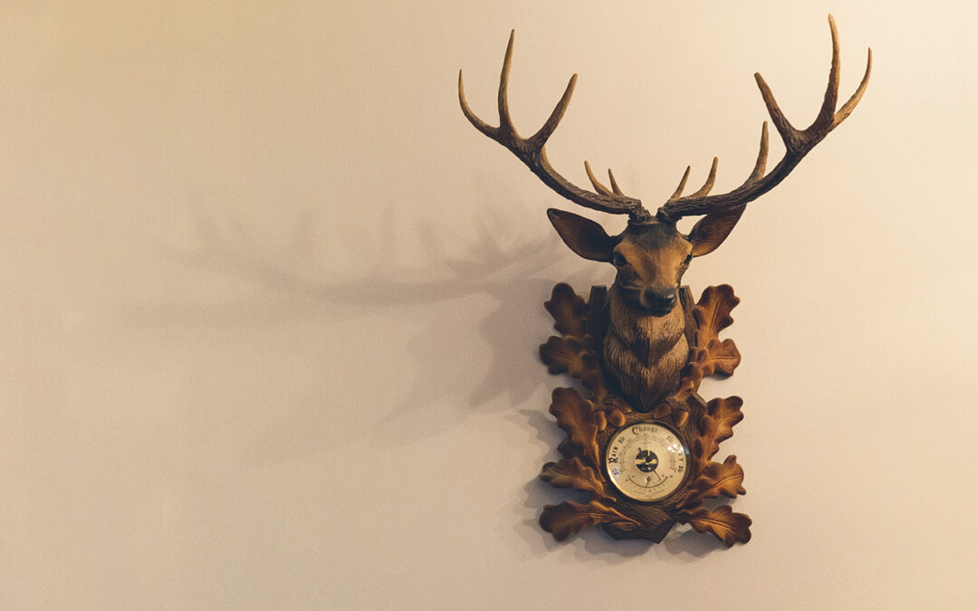 Documenting a Deceased Estate | LJM Photography