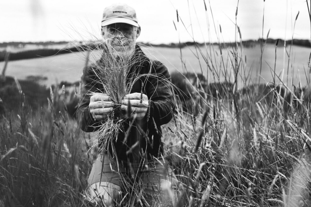 Black and white documentary portrait of Graeme Stockton of Ashmore crouching in native grasses holding a handful of grass seed, environmental branding photography by LJM Photography Surf Coast