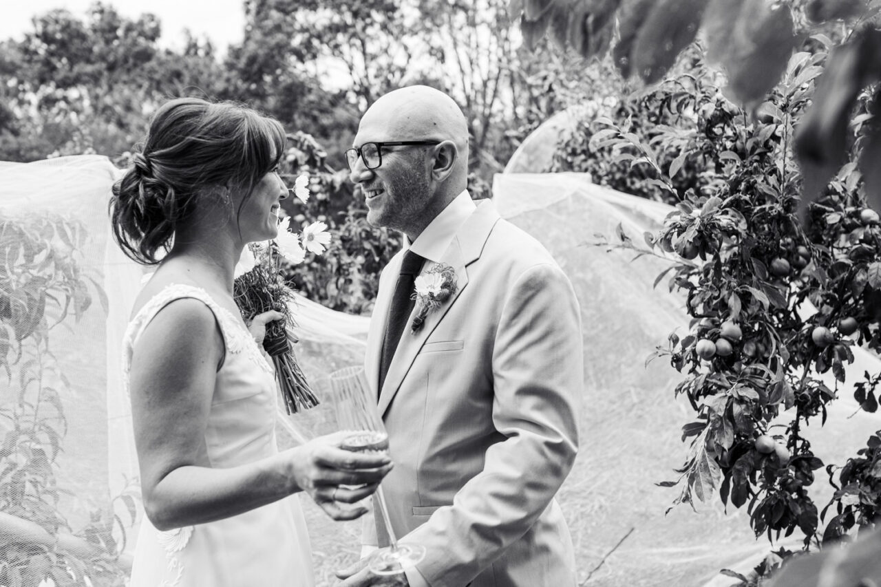 Black and white image of a bride and groom laughing together during their first look in a garden, surrounded by fruit trees and netting