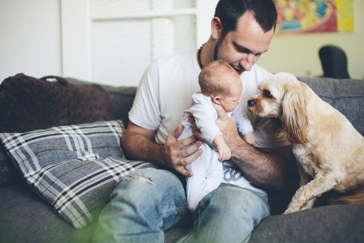 A father cradling a newborn on a couch with a golden dog leaning in, documentary family photography by LJM Photography