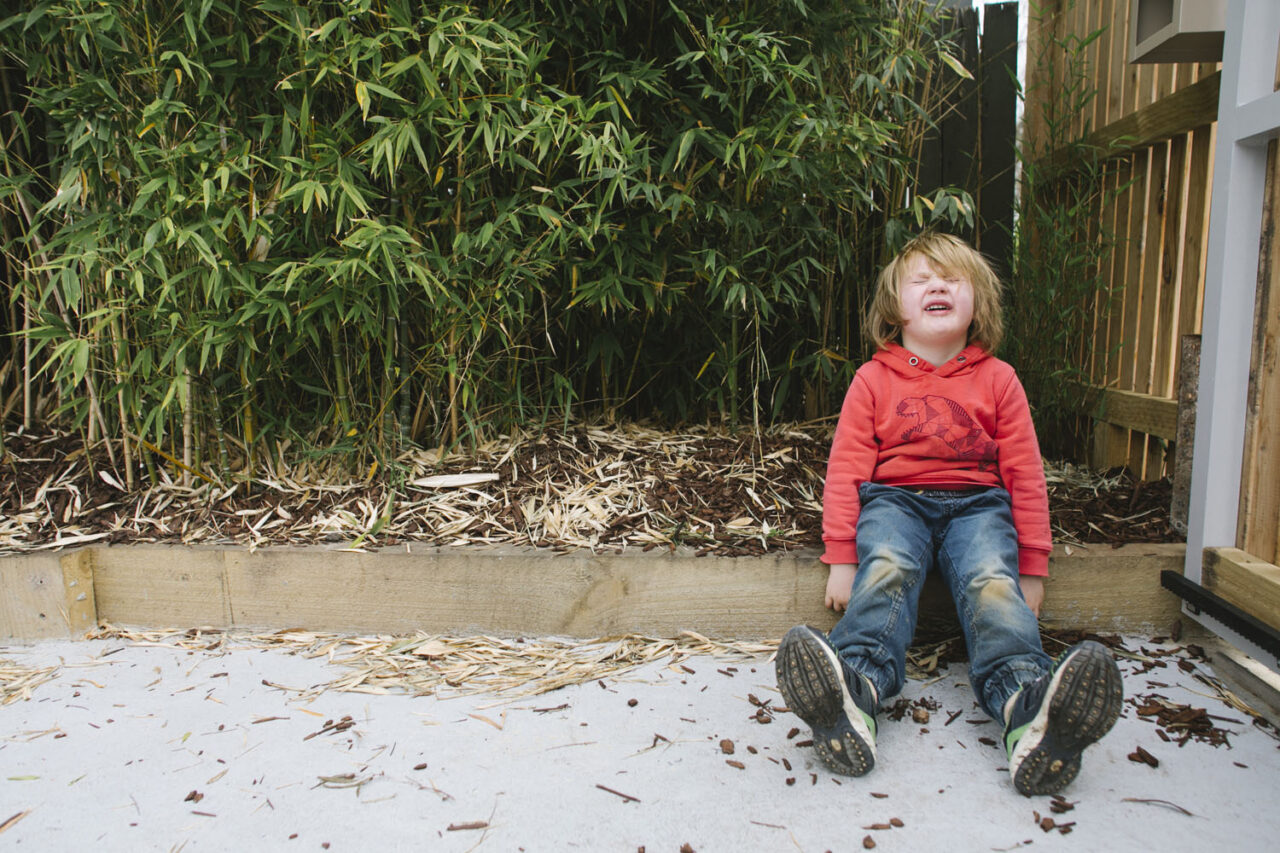 A young child mid-tantrum sitting on a backyard path in front of bamboo, documentary family photography by LJM Photography