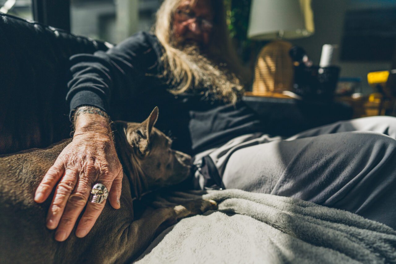 Close up of a hand resting on a dog curled up on a couch
