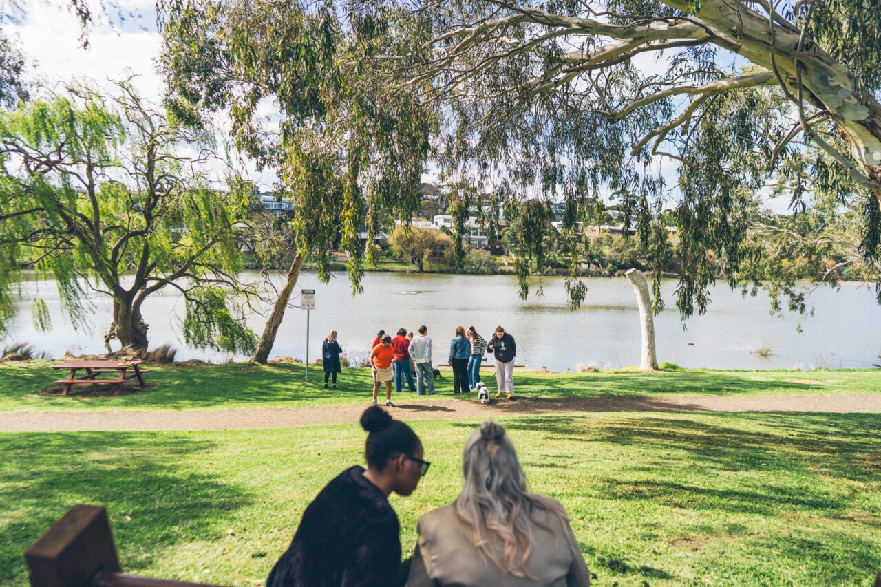Participants and support workers gathered by a lake with dogs on a sunny day