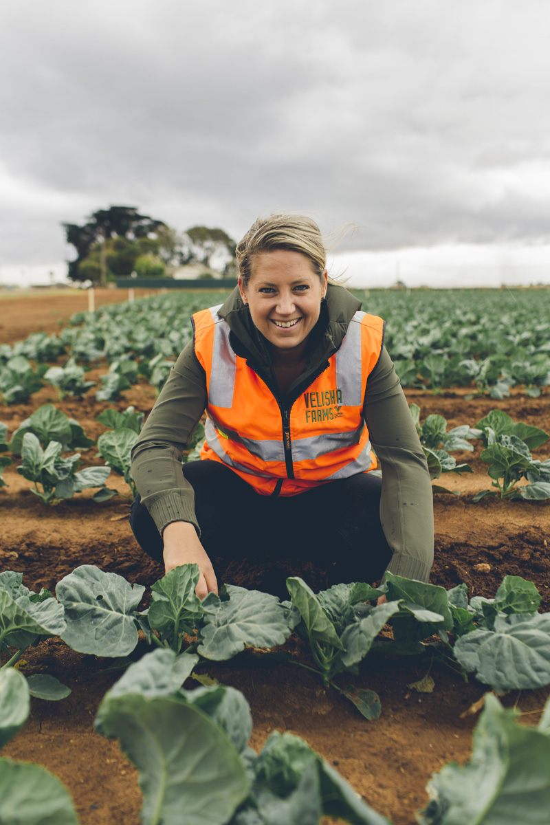 Velisha Farms worker kneeling in a cabbage field checking the crop